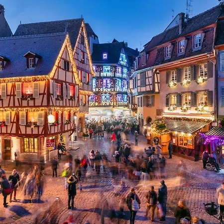Sweet Jungle - Stylish, Cozy And Romantic - Colmar