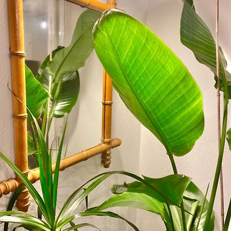 Sweet Jungle - Stylish, Cozy And Romantic - Colmar Apartment *