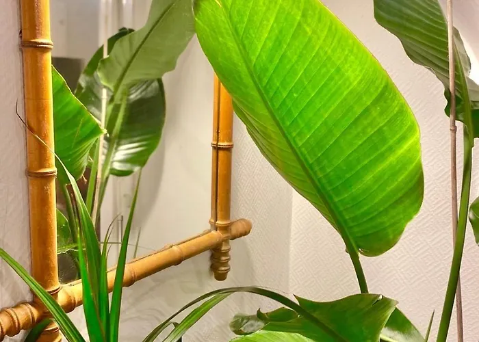 Sweet Jungle - Stylish, Cozy And Romantic - Colmar شقة *