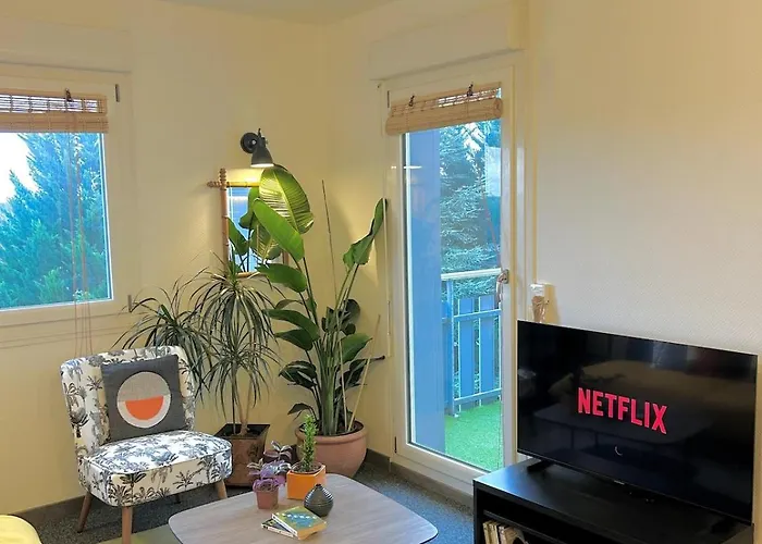 Sweet Jungle - Stylish, Cozy And Romantic - Colmar Bollwiller